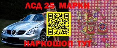 индика Лесосибирск