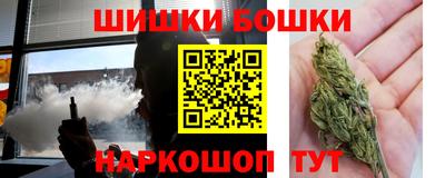 индика Лесосибирск