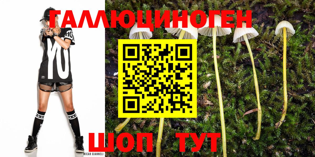 Галлюциногенные грибы Psilocybe  Галлюциногенные грибы ЛСД  Вход с VPN  сколько стоит  Улан-Удэ 