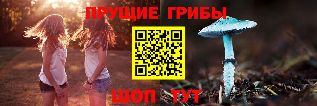 Галлюциногенные грибы Psilocybine cubensis Улан-Удэ
